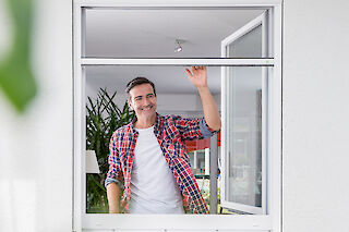 Unser Insektenschutz Sortiment