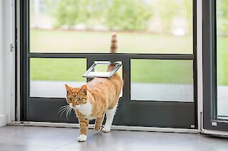 Unser Insektenschutz Sortiment