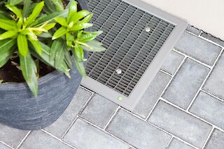 Unser Insektenschutz Sortiment