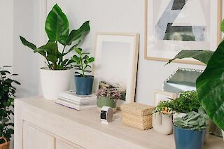 Unser Smart Home Sortiment